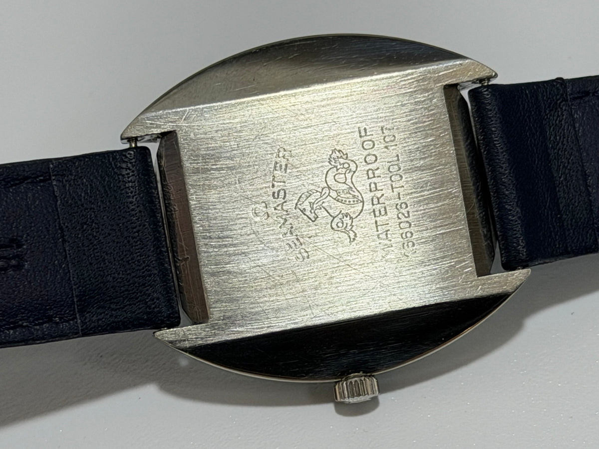 W0060 Omega Seamaster Cosmic — original photograph 6