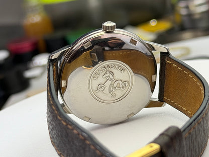 W038 Omega Seamaster — original condition photograph